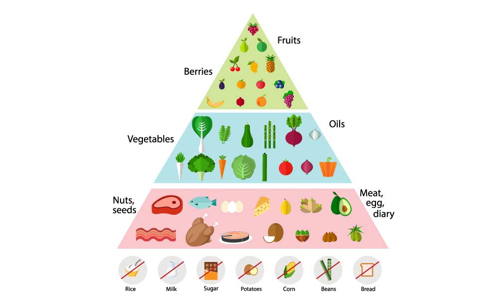 Keto Food Pyramid Download Keto Diet Plan for Beginners