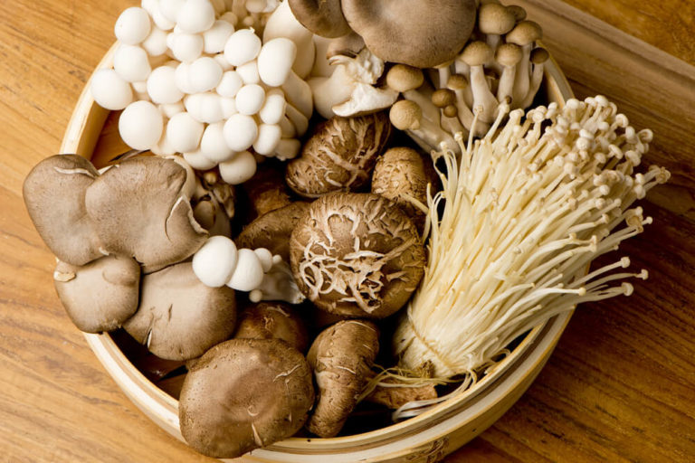 RAW MUSHROOM