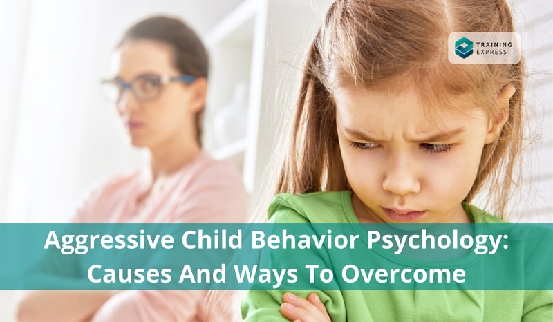 aggressive child behavior psychology