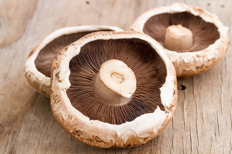 portobello-mushroom-rich-protein